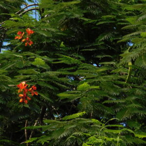 the quiet and the storm. الهدوء و العاصفه