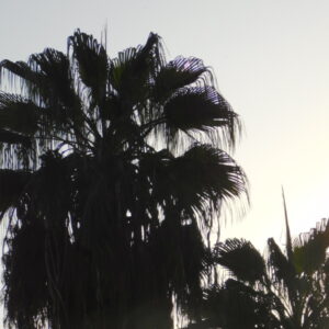 stillness and the movement السكون والحركه