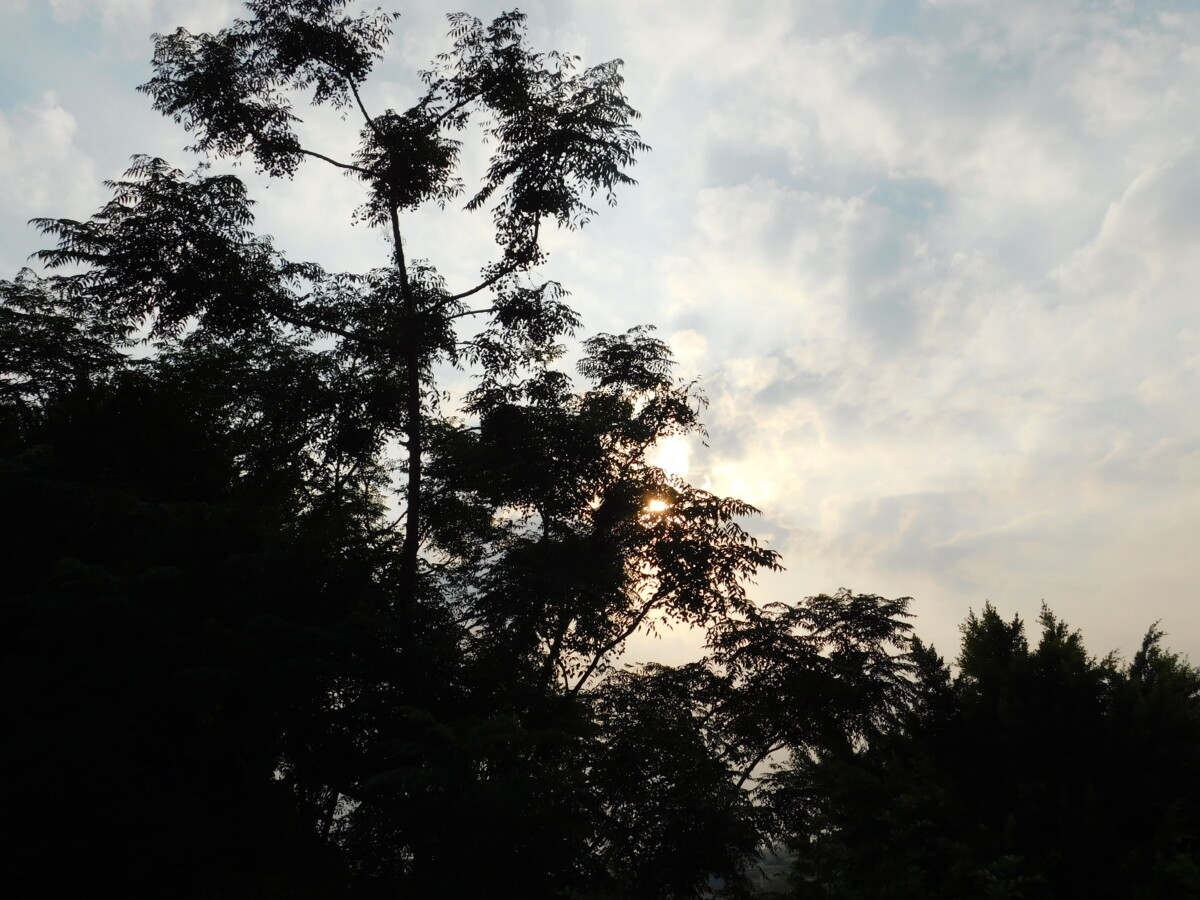 Africa إفريقيا