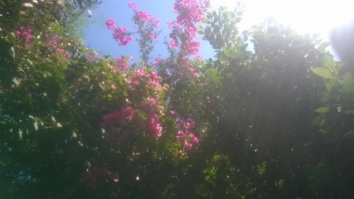 some of quiet  - بعض من الهدوء